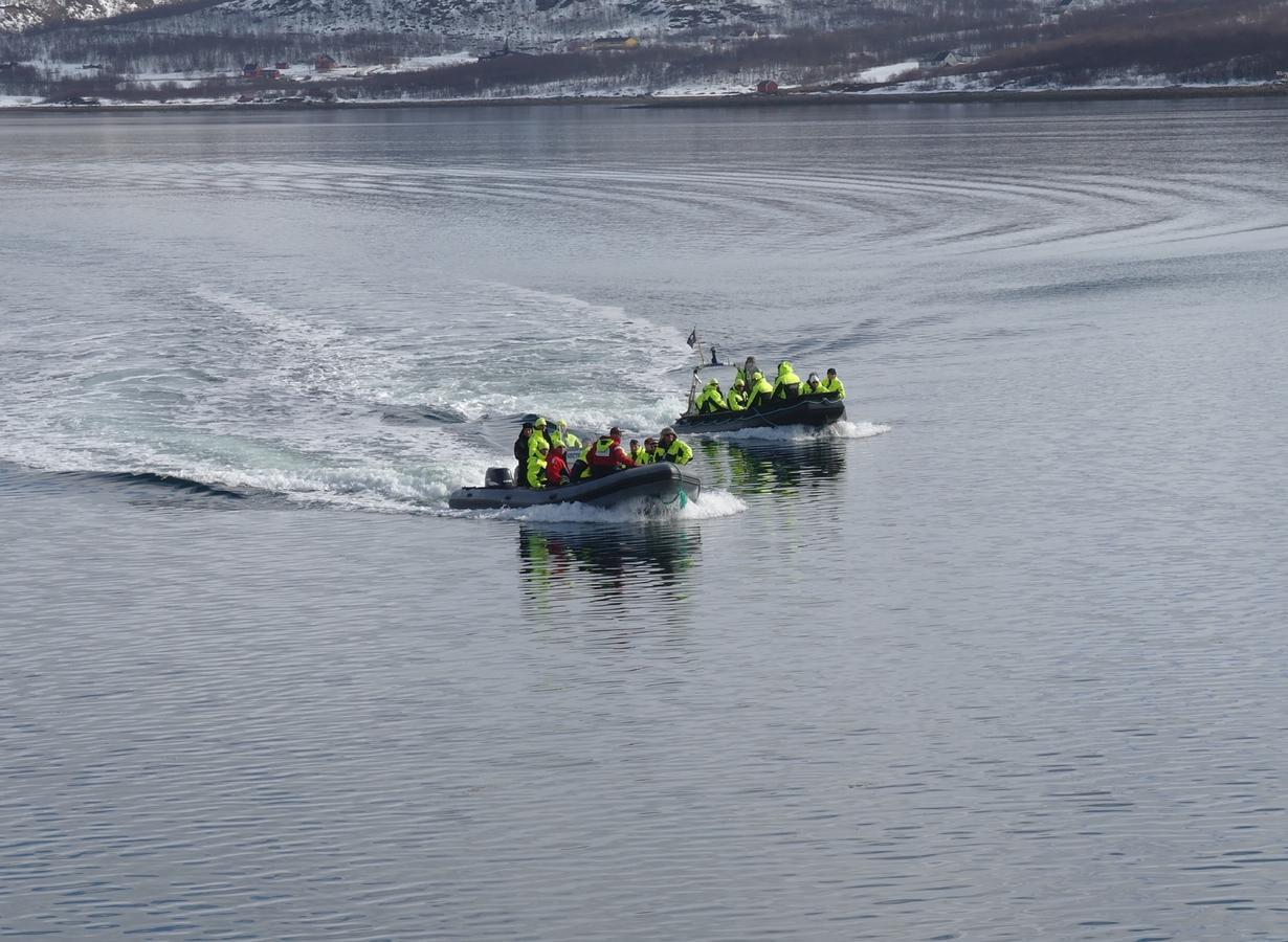 Jarfjord Arctic Aurora Lodge Karpbukt 外观 照片